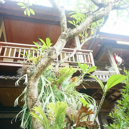 Cantika Guest House