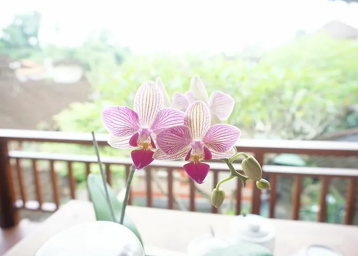 Cantika Maison d'hôtes *
